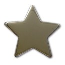 Silver Star Badge